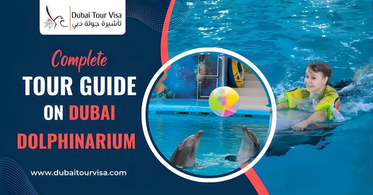 Complete Tour Guide on Dubai Dolphinarium